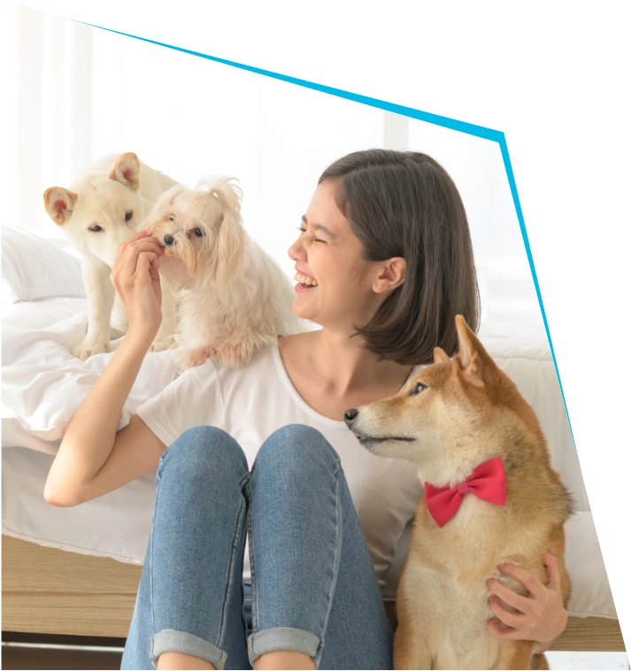 Petlover